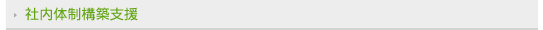 社内体制構築支援